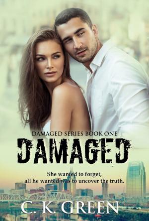 Cover of the book Damaged by Angel Rose