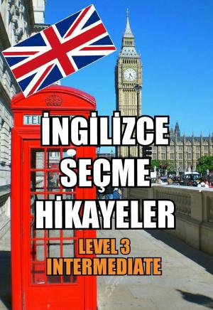 Cover of the book İngilizce Seçme Hikayeler Level 3: Intermediate by Virginia Woolf