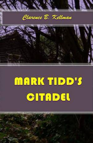 bigCover of the book Mark Tidd's Citadel by 