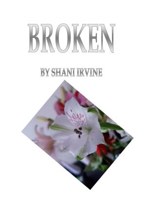 Cover of the book Broken by Anthony Morgan-Clark