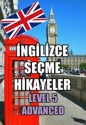 Cover of the book İngilizce Seçme Hikayeler Level 5: Advanced by Virginia Woolf