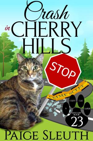 Cover of the book Crash in Cherry Hills by Tina Escaja