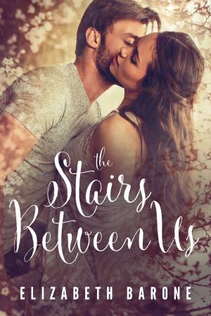 Book cover of The Stairs Between Us