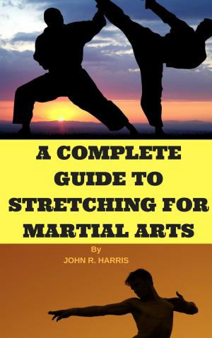 Book cover of THE MORE POPULAR MARTIAL ART STYLES