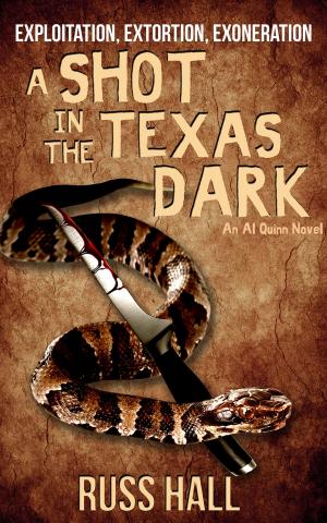 Cover of the book A Shot in the Texas Dark by Russ Hall
