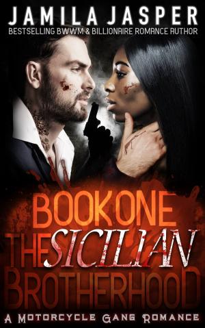 bigCover of the book The Sicilian Brotherhood I by 