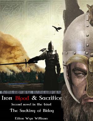 bigCover of the book Iron Blood & Sacrifice by 
