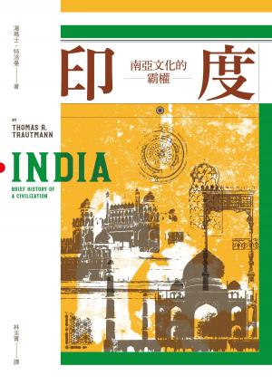 Book cover of 印度：南亞文化的霸權