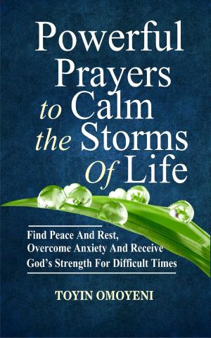 Cover of the book Powerful Prayers To Calm The Storms Of Life by Eörsi László