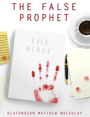 Cover of the book The False Prophet by Wesley Wyatt