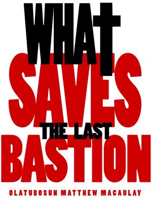 Cover of What Saves