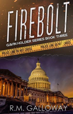 Cover of the book Firebolt by Ann Moore