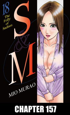 Cover of the book S and M by Heather Michaels