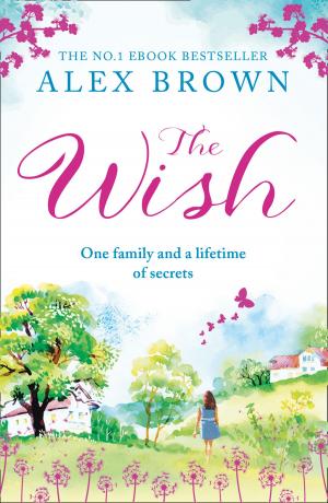 Cover of the book The Wish by Teresa F. Morgan