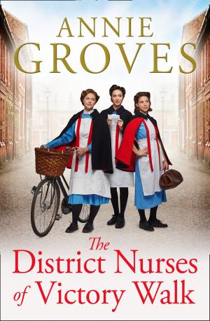 Cover of the book The District Nurses of Victory Walk (The District Nurse, Book 1) by Antony Costa, Duncan James, Lee Ryan, Simon Webbe
