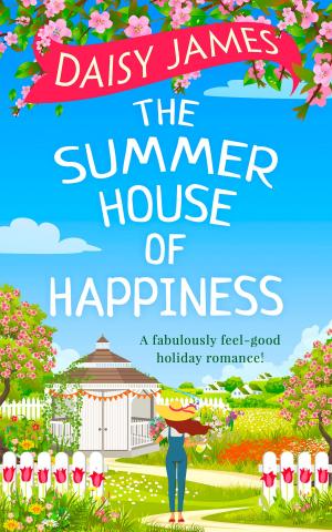 Book cover of The Summer House of Happiness