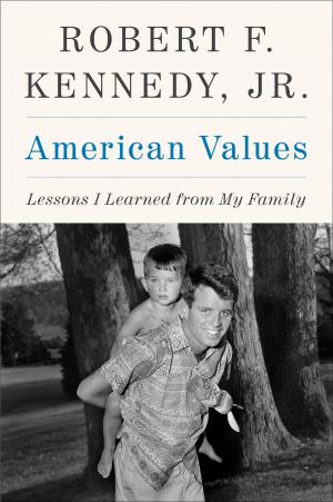 Book cover of American Values