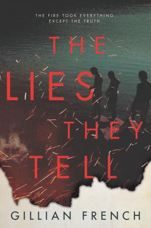 Cover of the book The Lies They Tell by Paula Stokes