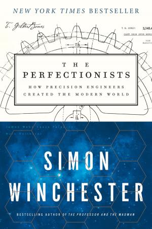 Book cover of The Perfectionists