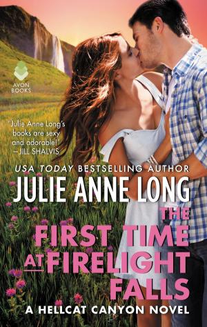 Book cover of The First Time at Firelight Falls