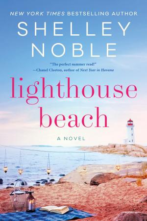 Book cover of Lighthouse Beach