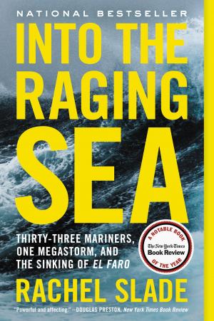 Book cover of Into the Raging Sea