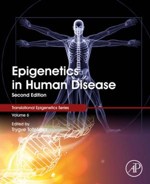 Cover of the book Epigenetics in Human Disease by G Mathers