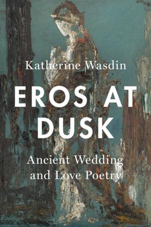 Cover of the book Eros at Dusk by Nadine Strossen
