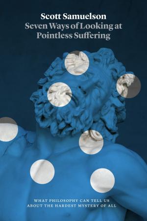 Cover of the book Seven Ways of Looking at Pointless Suffering by Geoffrey M. Hodgson