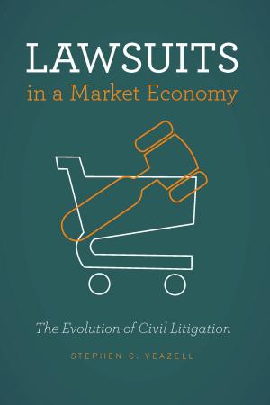Cover of the book Lawsuits in a Market Economy by Stanley Feldman, Leonie Huddy, George E. Marcus
