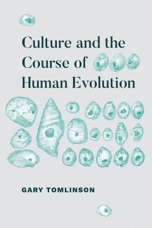 Cover of the book Culture and the Course of Human Evolution by Anita Hannig