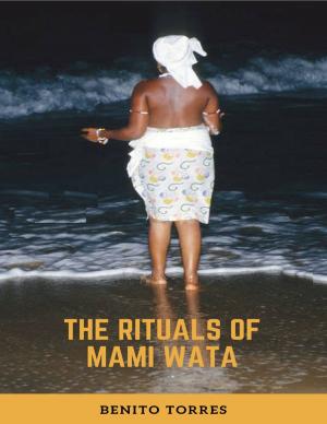 Cover of the book The Rituals of Mami Wata by El David, Manuel A. Melendez