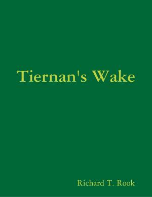 Cover of the book Tiernan's Wake by Matt Stewart