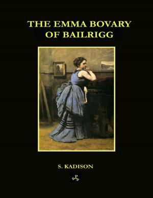 Book cover of The Emma Bovary of Bailrigg