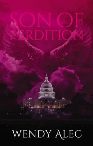 Cover of the book Son of Perdition by Heather Barbieri
