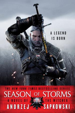 bigCover of the book Season of Storms by 
