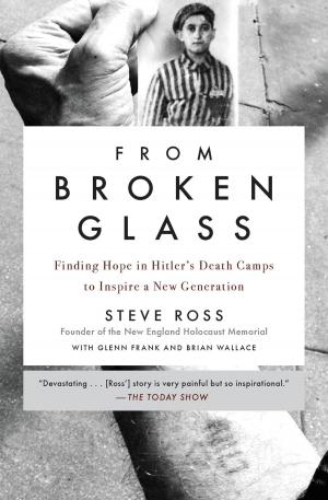Cover of the book From Broken Glass by Agnès Martin-Lugand