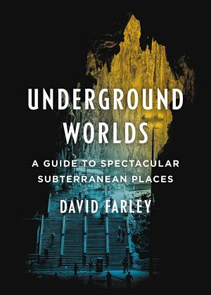 Cover of the book Underground Worlds by Anita Ganeri