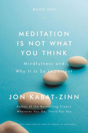 Cover of the book Meditation Is Not What You Think by Jennifer Niven