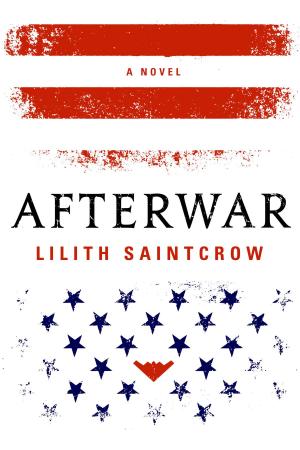 Cover of the book Afterwar by Amanda Downum
