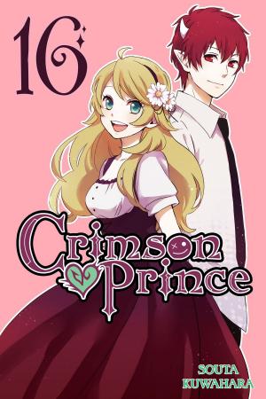 Cover of the book Crimson Prince, Vol. 16 by Hiroji Mishima, Ichiei Ishibumi, Zero Miyama
