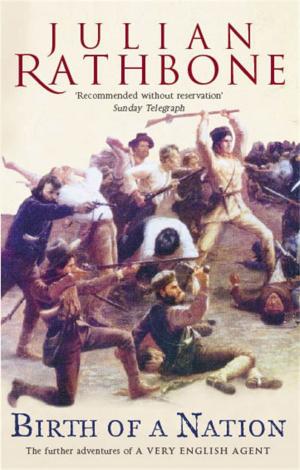 Cover of the book Birth Of A Nation: A Novel by Barbara Cardy
