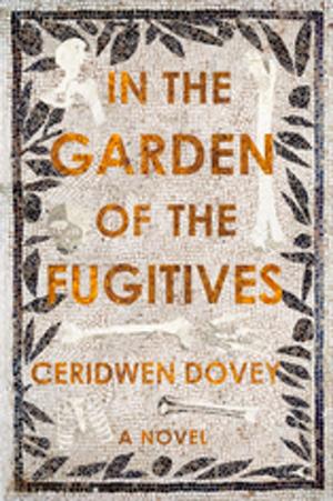 Cover of the book In the Garden of the Fugitives by Chris Adrian, Eli Horowitz