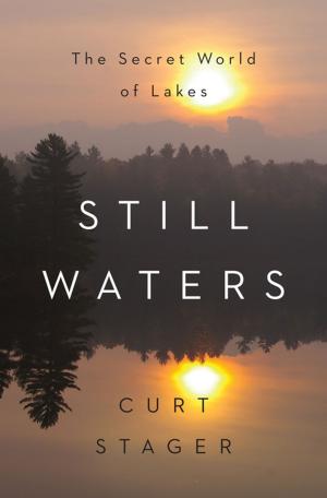 Cover of the book Still Waters: The Secret World of Lakes by Laurence Gonzales