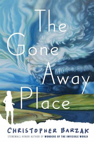 Book cover of The Gone Away Place