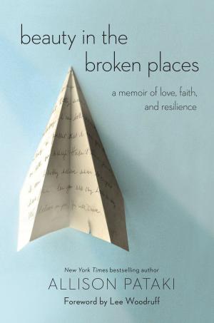 Cover of the book Beauty in the Broken Places by Clare Naylor