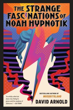 Cover of the book The Strange Fascinations of Noah Hypnotik by Jonathan Bernstein
