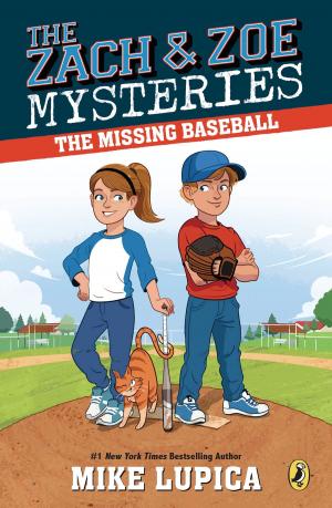 Cover of the book The Missing Baseball by Max Brallier