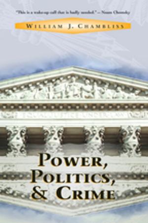 Cover of the book Power, Politics And Crime by Gale Miller