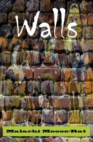 Cover of the book Walls by Penelope Marzec